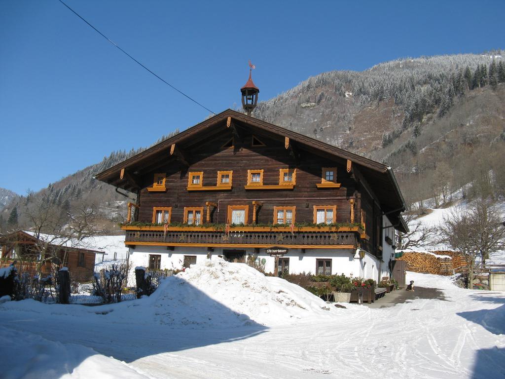 Steinerbauer Βίλα Dorfgastein Εξωτερικό φωτογραφία