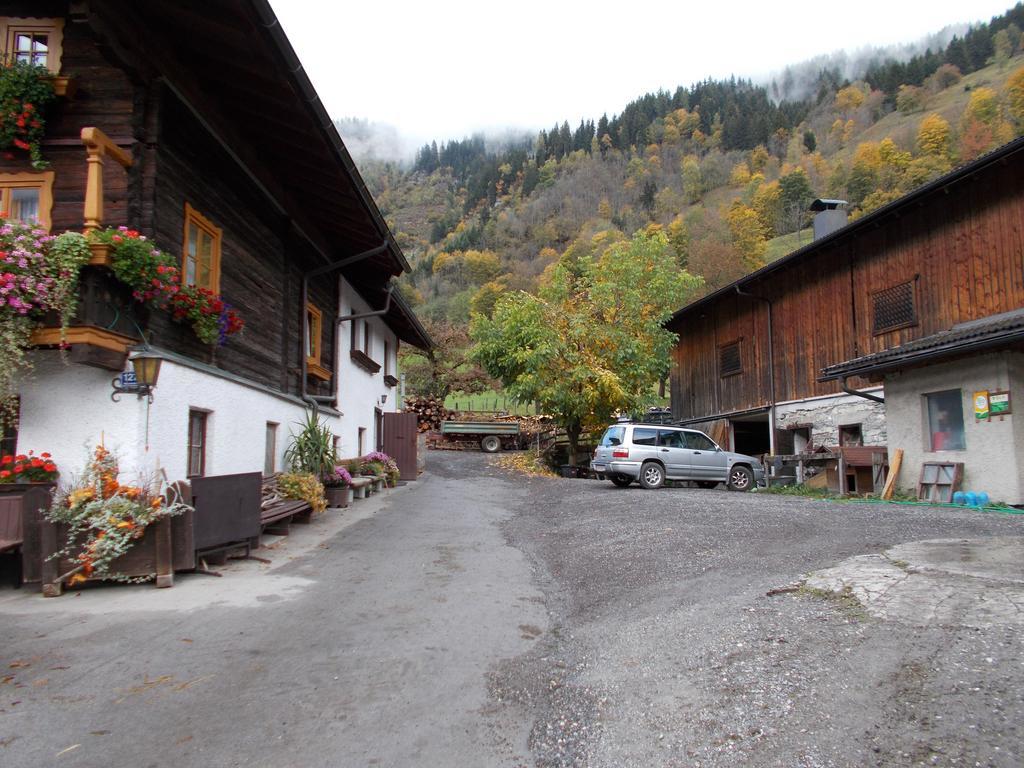 Steinerbauer Βίλα Dorfgastein Εξωτερικό φωτογραφία