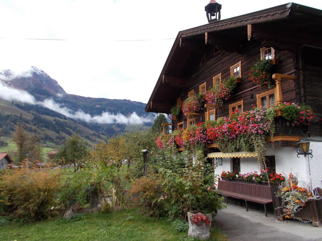 Steinerbauer Βίλα Dorfgastein Εξωτερικό φωτογραφία